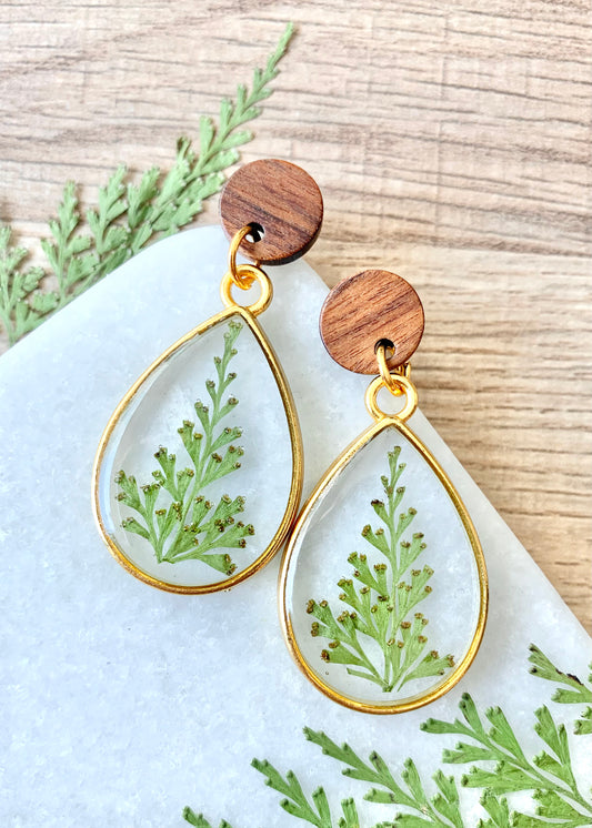 Teardrop Dangles - Wood & Fern in Gold